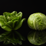 Bibb Lettuce vs Butter Lettuce